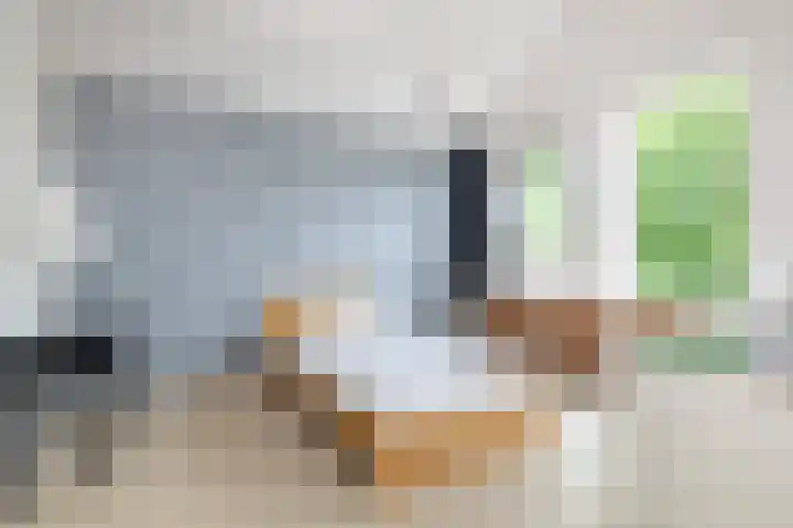 Dirkje van Barneveldweg 22 Austerlitz thumbnail 33