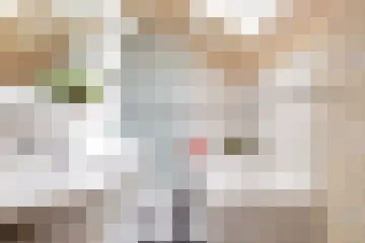 Dirkje van Barneveldweg 22 Austerlitz thumbnail 35