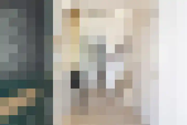 Dirkje van Barneveldweg 22 Austerlitz thumbnail 38