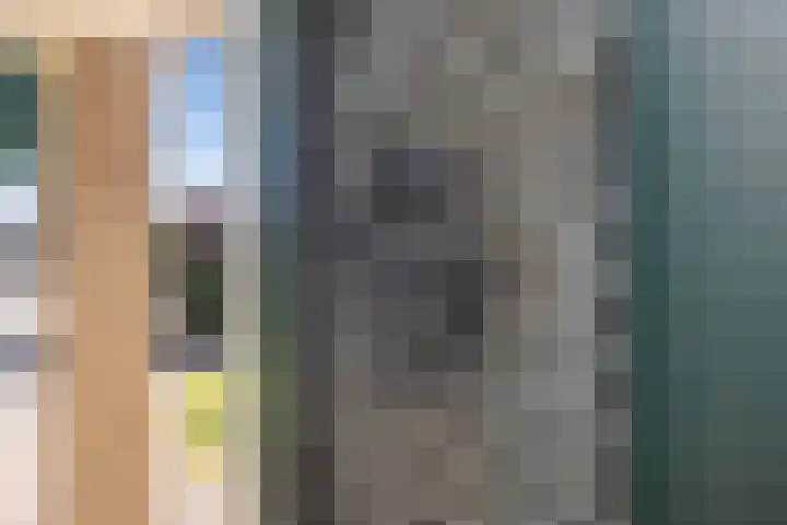 Dirkje van Barneveldweg 22 Austerlitz thumbnail 39