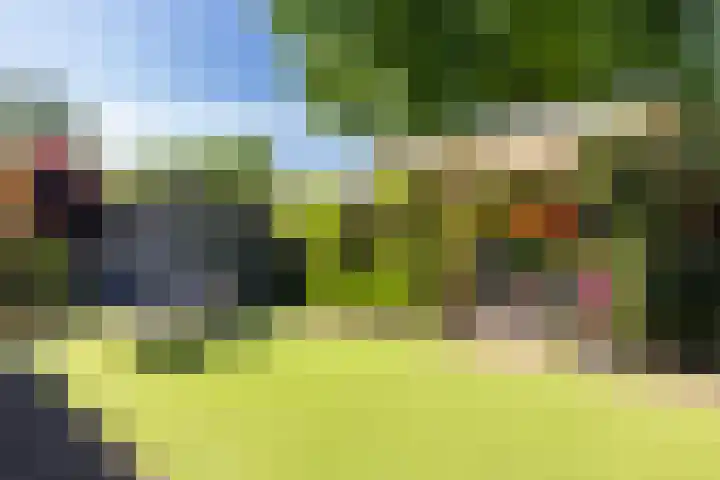 Dirkje van Barneveldweg 22 Austerlitz thumbnail 4