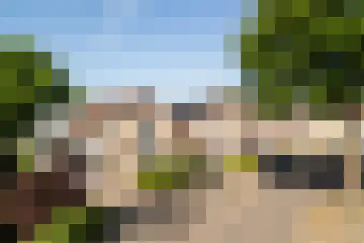 Dirkje van Barneveldweg 22 Austerlitz thumbnail 40