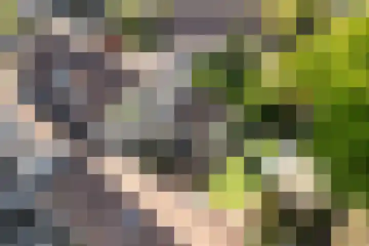 Dirkje van Barneveldweg 22 Austerlitz thumbnail 41