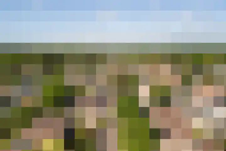Dirkje van Barneveldweg 22 Austerlitz thumbnail 42