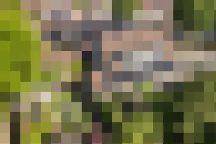Dirkje van Barneveldweg 22 Austerlitz thumbnail 43
