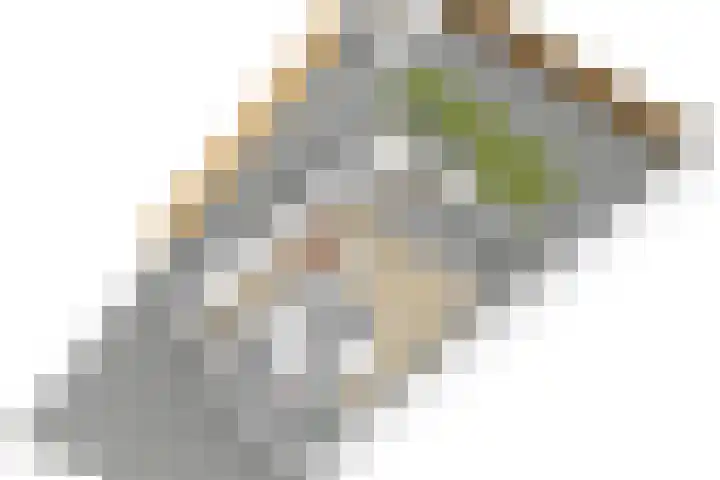 Dirkje van Barneveldweg 22 Austerlitz thumbnail 48