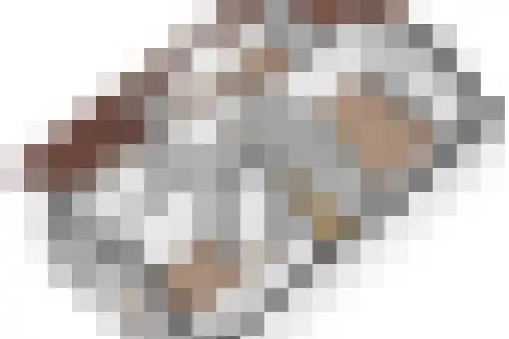 Dirkje van Barneveldweg 22 Austerlitz thumbnail 49