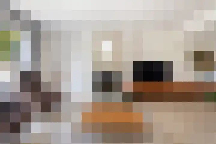 Dirkje van Barneveldweg 22 Austerlitz thumbnail 5