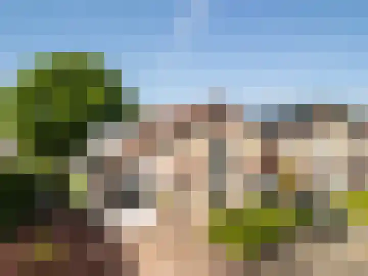 Dirkje van Barneveldweg 22 Austerlitz thumbnail 53