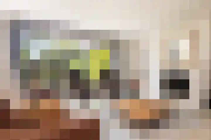 Dirkje van Barneveldweg 22 Austerlitz thumbnail 6