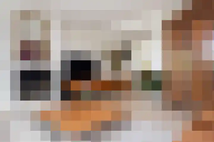Dirkje van Barneveldweg 22 Austerlitz thumbnail 8