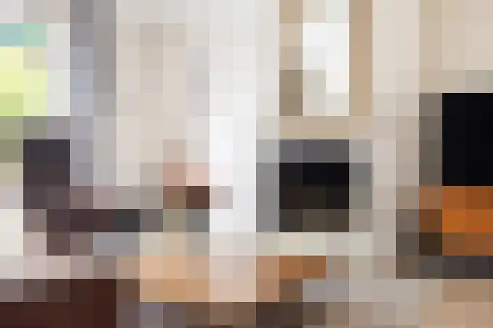 Dirkje van Barneveldweg 22 Austerlitz thumbnail 9