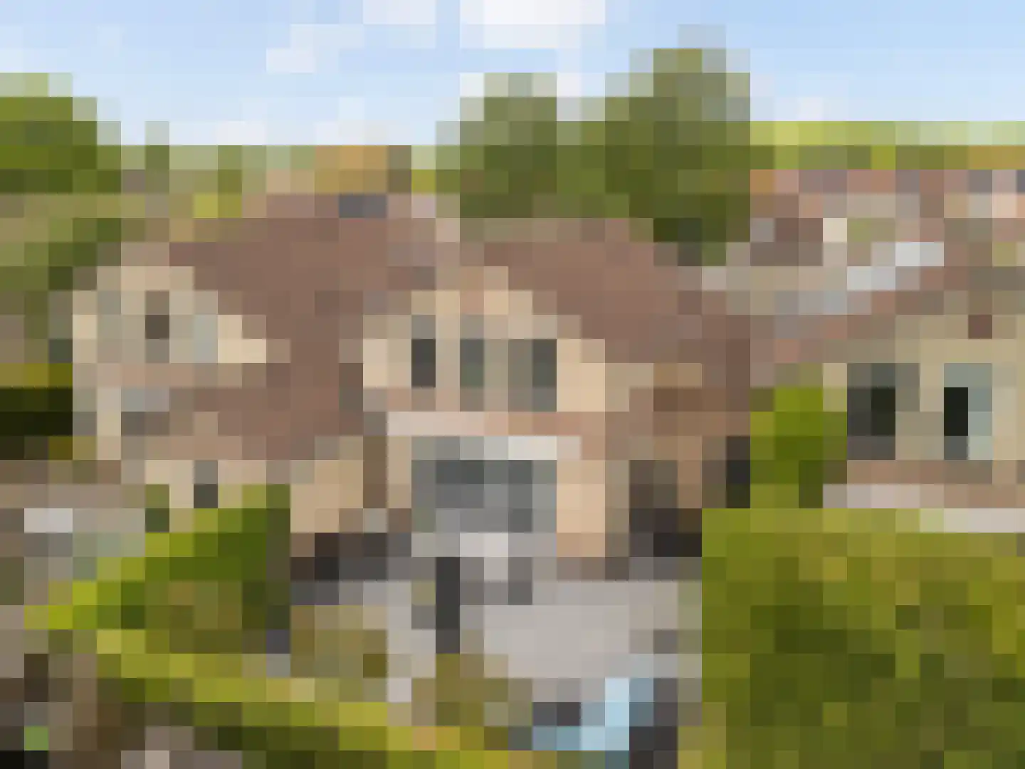 Dirkje van Barneveldweg 30 Austerlitz thumbnail 31