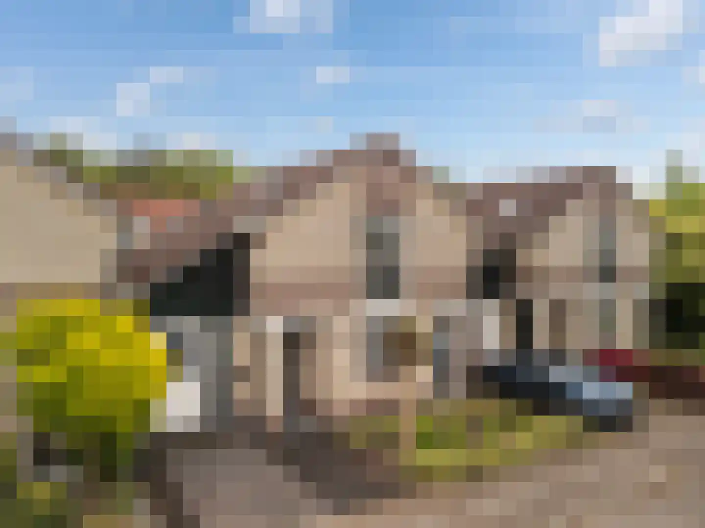 Dirkje van Barneveldweg 30 Austerlitz thumbnail 32