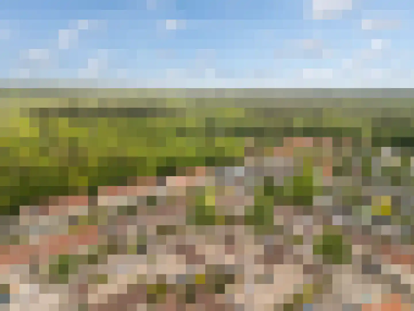 Dirkje van Barneveldweg 30 Austerlitz thumbnail 34