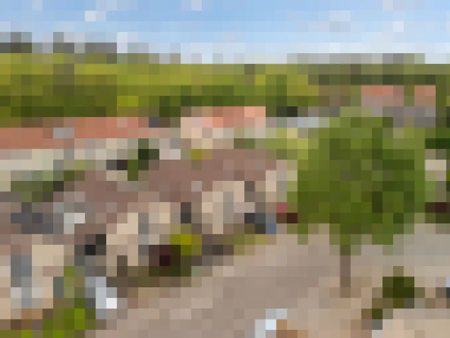 Dirkje van Barneveldweg 30 Austerlitz thumbnail 35