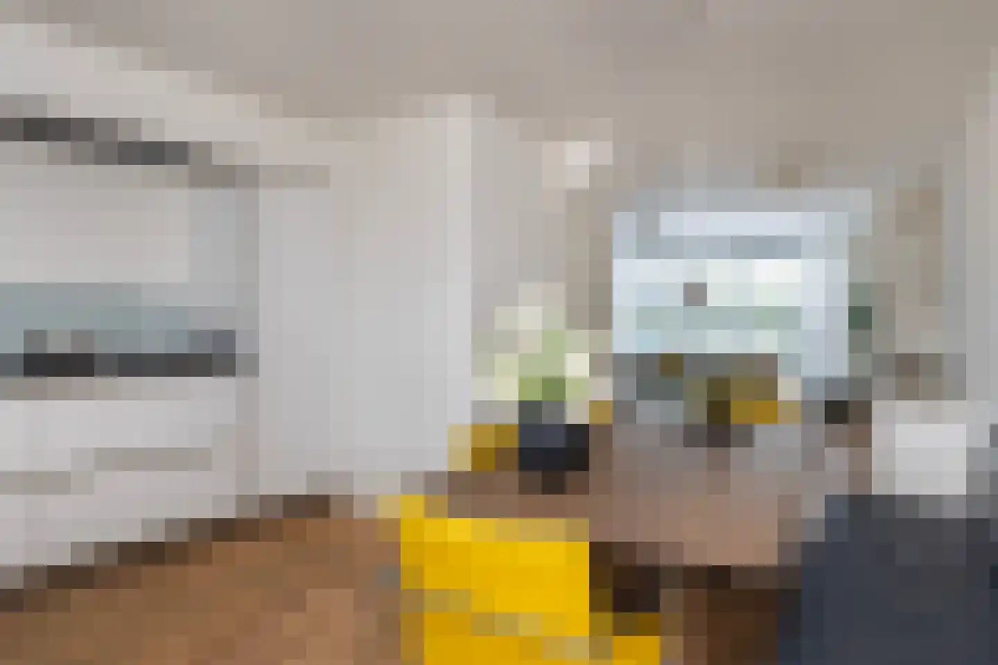 Dirkje van Barneveldweg 30 Austerlitz thumbnail 9