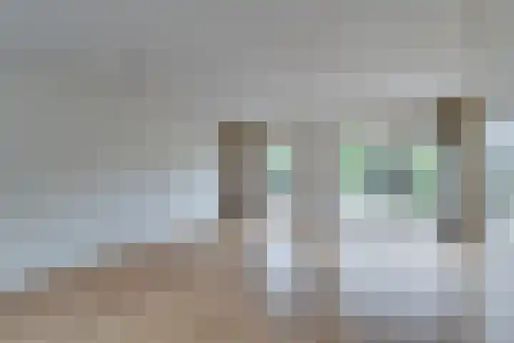 Dirkje van Barneveldweg 6 Austerlitz thumbnail 10
