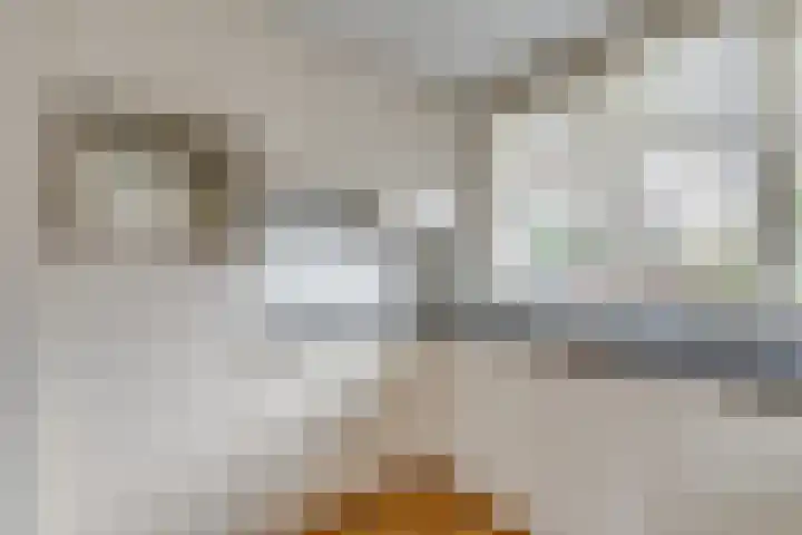 Dirkje van Barneveldweg 6 Austerlitz thumbnail 15