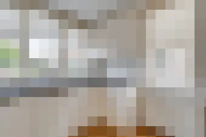 Dirkje van Barneveldweg 6 Austerlitz thumbnail 16