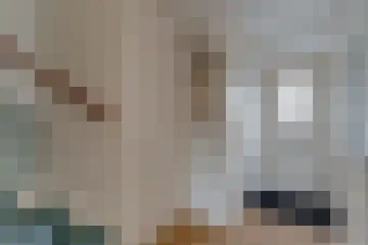 Dirkje van Barneveldweg 6 Austerlitz thumbnail 22