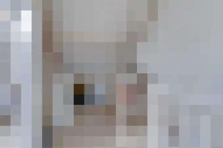Dirkje van Barneveldweg 6 Austerlitz thumbnail 32