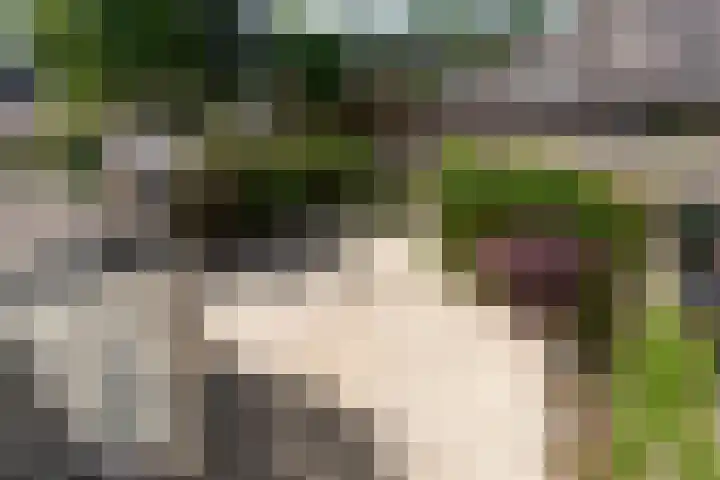 Dirkje van Barneveldweg 6 Austerlitz thumbnail 37