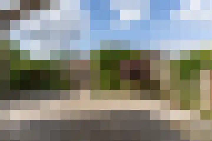 Dirkje van Barneveldweg 6 Austerlitz thumbnail 38