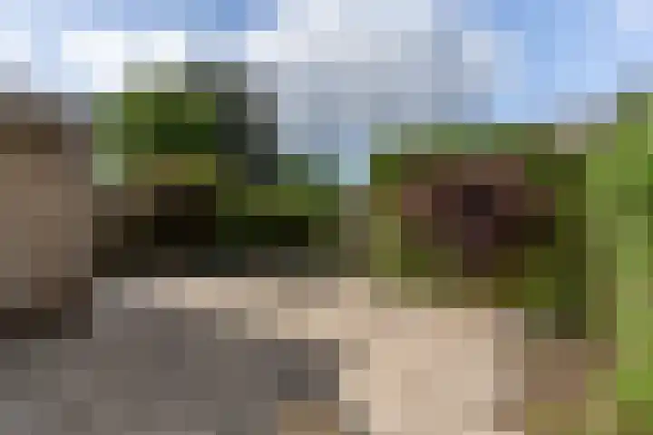 Dirkje van Barneveldweg 6 Austerlitz thumbnail 39