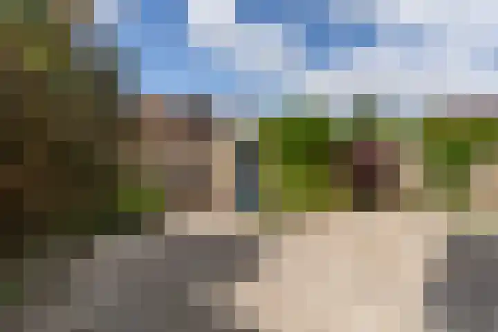 Dirkje van Barneveldweg 6 Austerlitz thumbnail 40