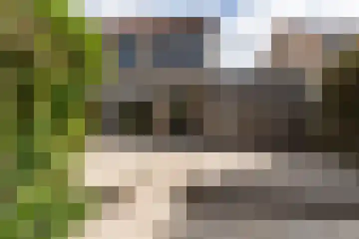 Dirkje van Barneveldweg 6 Austerlitz thumbnail 42