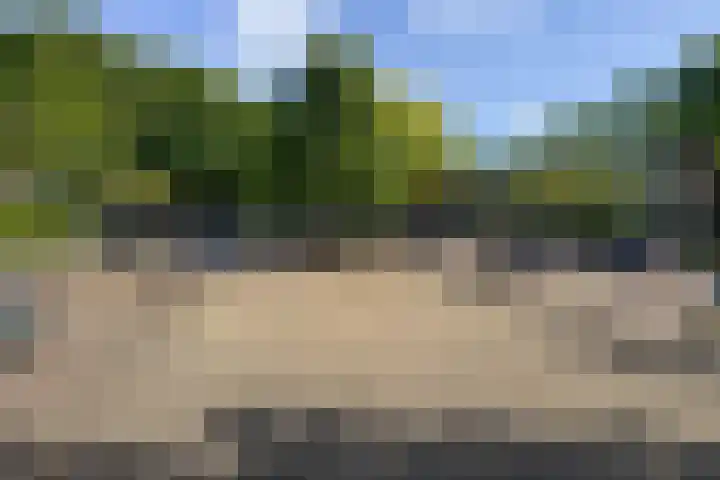 Dirkje van Barneveldweg 6 Austerlitz thumbnail 43