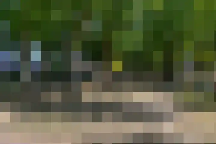 Dirkje van Barneveldweg 6 Austerlitz thumbnail 46