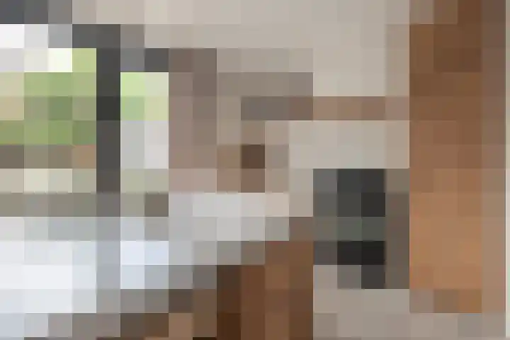 Dirkjeserf 12 Wekerom thumbnail 11