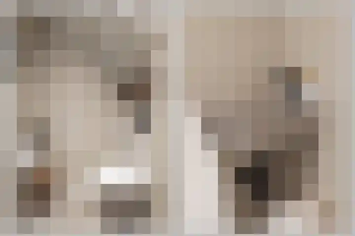Dirkjeserf 12 Wekerom thumbnail 17