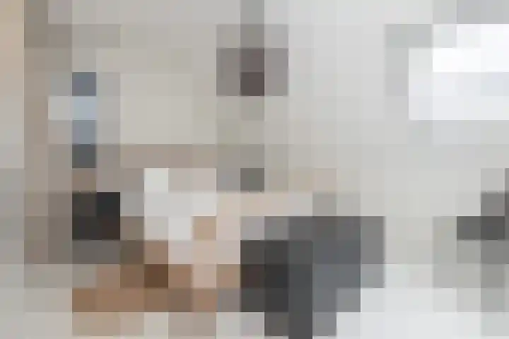 Dirkjeserf 12 Wekerom thumbnail 19