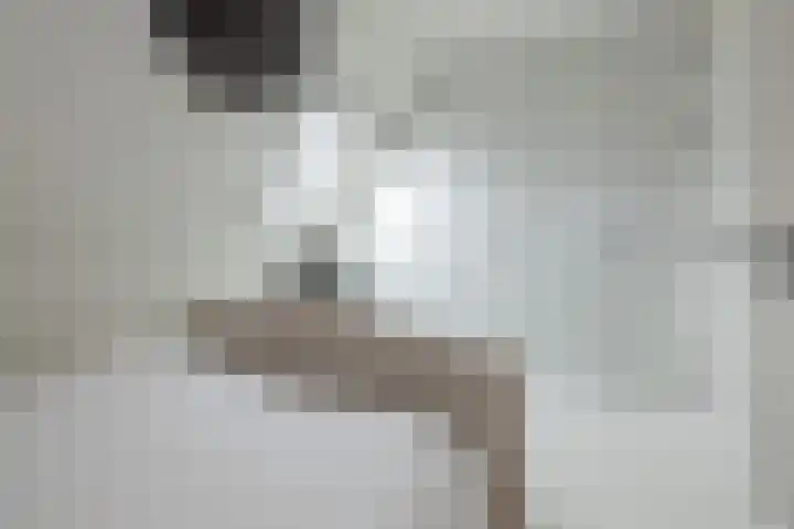 Dirkjeserf 12 Wekerom thumbnail 20