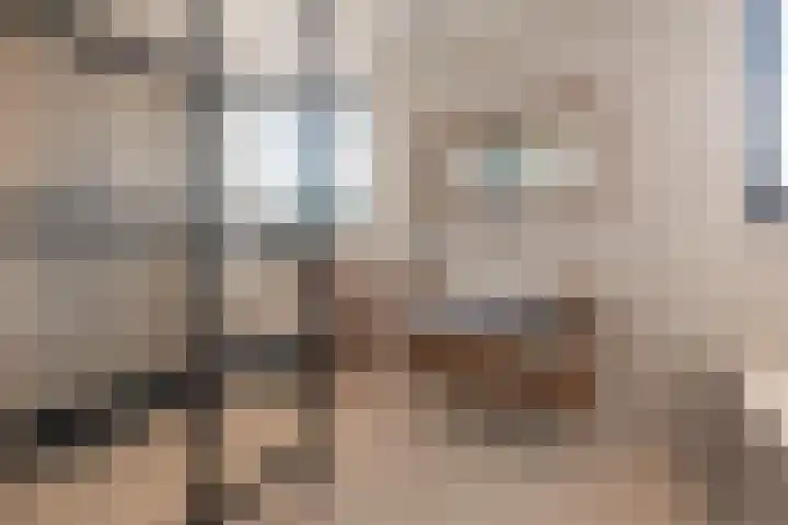 Dirkjeserf 12 Wekerom thumbnail 28
