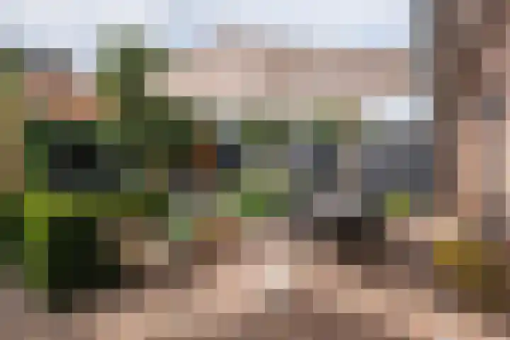 Dirkjeserf 12 Wekerom thumbnail 32