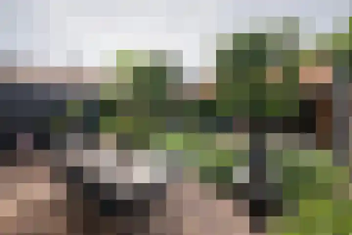 Dirkjeserf 12 Wekerom thumbnail 33