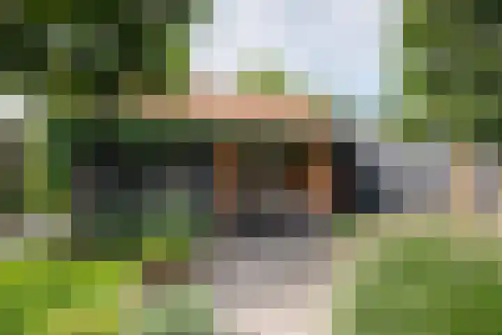 Dirkjeserf 12 Wekerom thumbnail 35