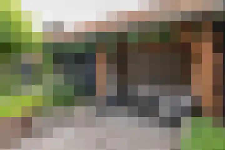 Dirkjeserf 12 Wekerom thumbnail 36