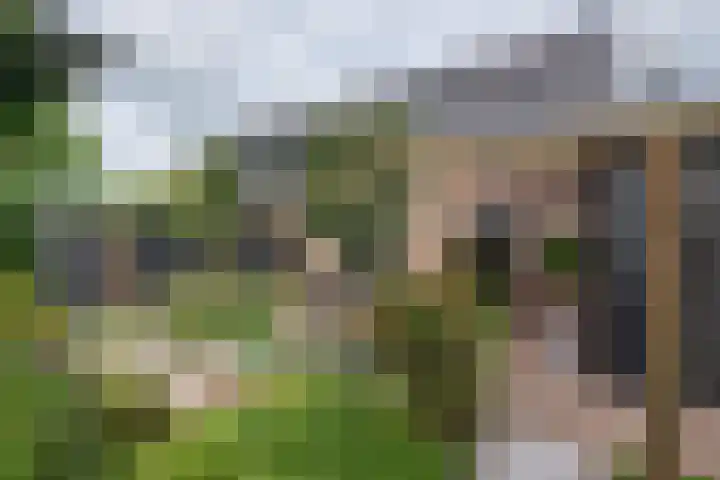 Dirkjeserf 12 Wekerom thumbnail 38