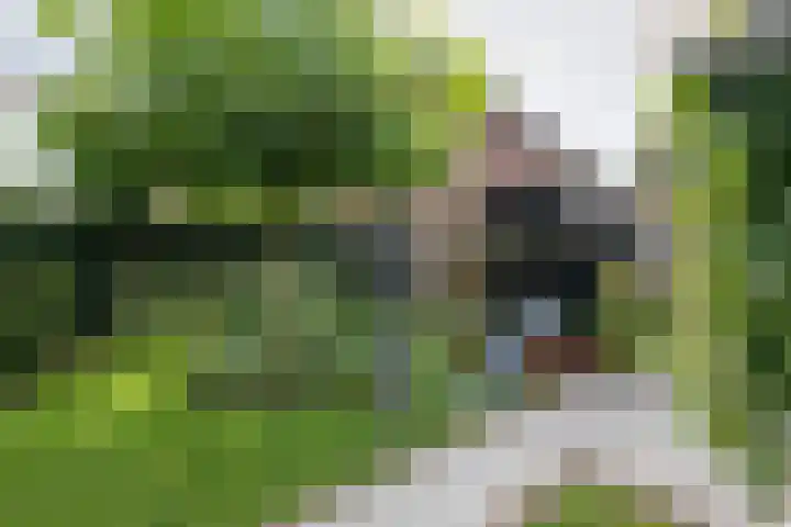Dirkjeserf 12 Wekerom thumbnail 39