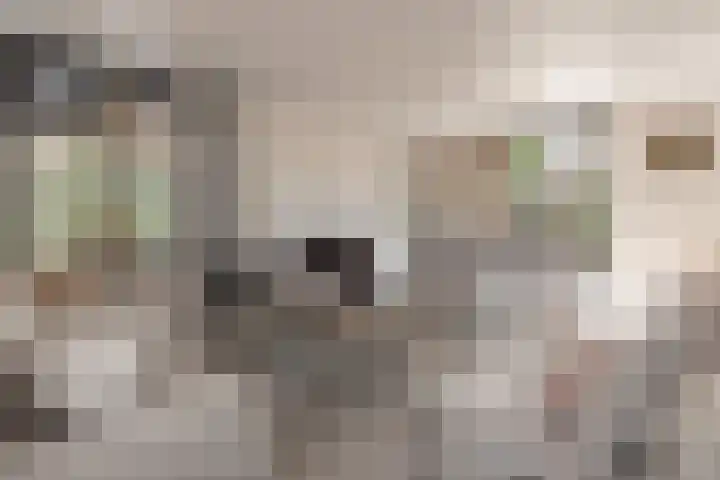 Dirkjeserf 12 Wekerom thumbnail 4