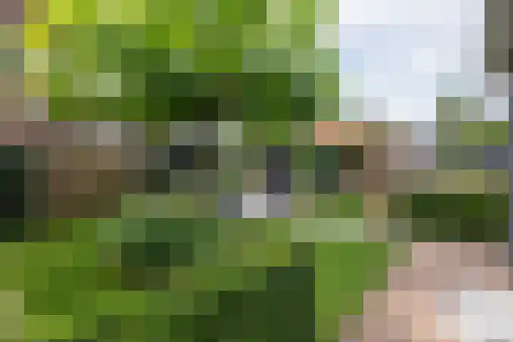 Dirkjeserf 12 Wekerom thumbnail 40