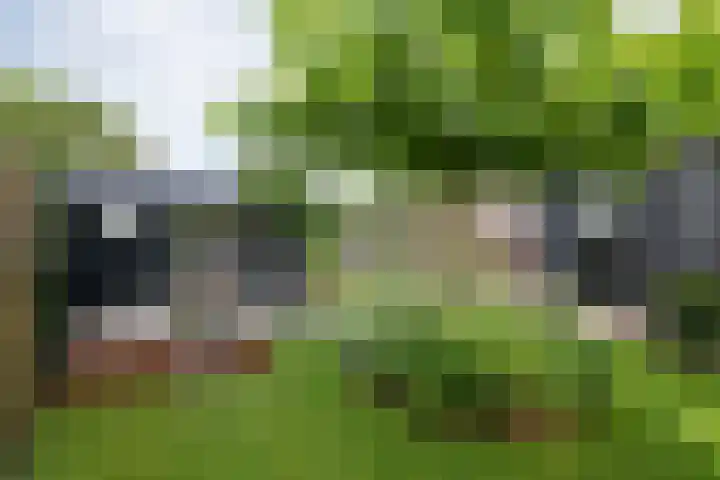 Dirkjeserf 12 Wekerom thumbnail 41