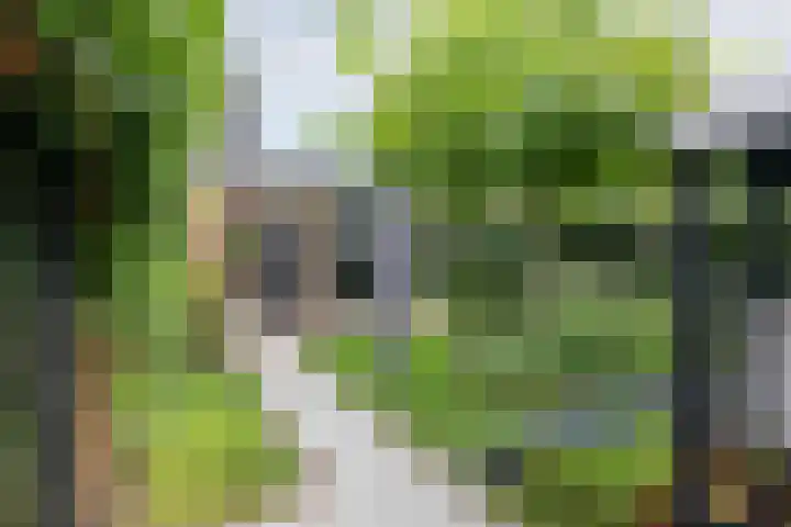 Dirkjeserf 12 Wekerom thumbnail 43