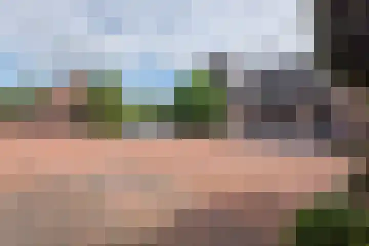 Dirkjeserf 12 Wekerom thumbnail 46
