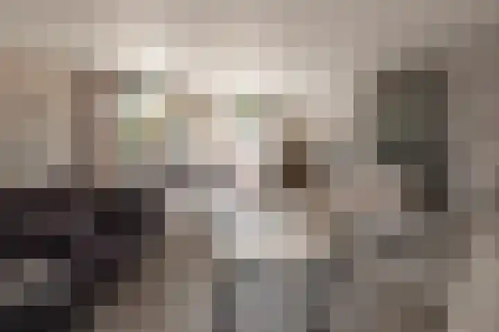Dirkjeserf 12 Wekerom thumbnail 5